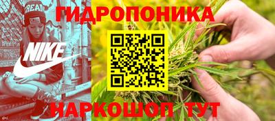 крисы Кимры