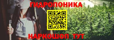 крисы Кимры